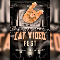 Cada año miles de personas acuden al cine para ver una película. Una hecha con vídeos de gatitos