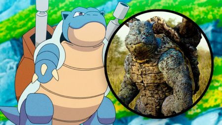 Blastoise.