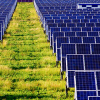 Empresas começam a apostar em energia solar e buscas na área crescem mais de 1000% 