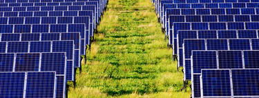 Empresas começam a apostar em energia solar e buscas na área crescem mais de 1000% 