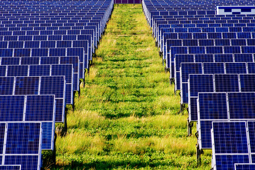 Crédito de imagem: Andia/Universal Images Group via Getty Images