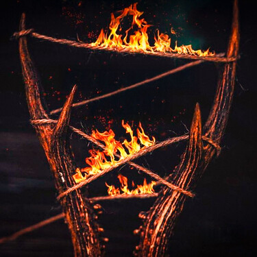 Llamas En Nuncanada 01