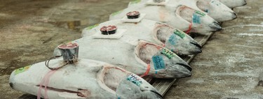 Un pescador murciano decidió capturar dos atunes rojos en Águilas. Ahora afronta una multa de 600.000 euros