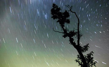 Las Perseidas