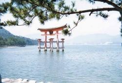 Japón, innovador pero no muy acelerado