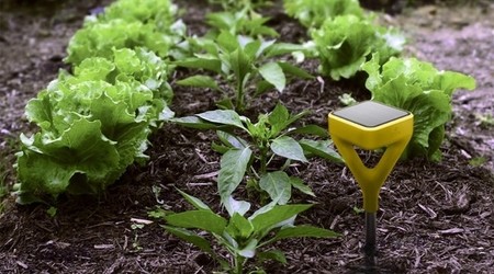 Edyn, el sistema inteligente que te ayudará a tener un huerto ecológico en casa