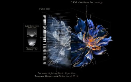 Captura De Pantalla 2025 11 06 130528