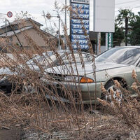 Con este vídeo dan ganas de viajar a Fukushima para rescatar algunos de los coches que siguen allí abandonados