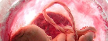 Microquimerismo fetal: células del bebé pasan a la madre y ayudan a reparar sus órganos