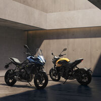 Las nuevas Triumph 660 son ahora mucho más bestias: 14 CV más en versión juguete trail o naked retro