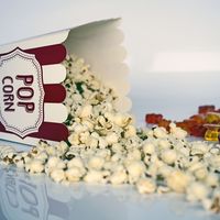 La verdad de por qué Netflix es capaz de traerte a tu pantalla tantas series de éxito
