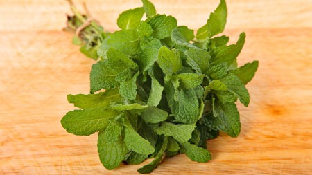 Menta fresca. Foto: Freepik