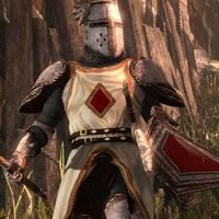 Oblivion y su mundo abierto se quedaron cortos en rarezas y bizarradas, y El Señor de los Anillos tuvo la culpa