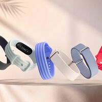 Llevo 10 años con el Apple Watch en la muñeca. Lo único que pedía era la pulsera de Google