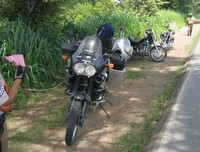 Ya no es obligatorio llevar el recibo del seguro