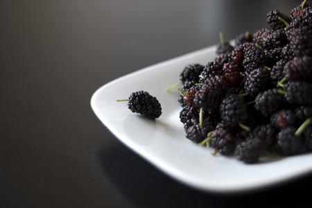 Moras, la fruta del fin del verano
