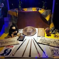 Experiencia Patronus: disfrutar de Hogwarts y el universo Harry Potter en pleno Madrid 