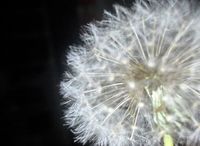 Necesitamos reformar las bajas laborales por incapacidad temporal