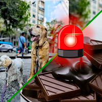 La ciencia lo confirma: estos son los alimentos que nunca debes darle a tu mascota 