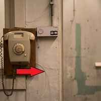 Se você tem fios telefônicos passando pelos cômodos da sua casa, encontrou um tesouro: veja como usá-los para configurar uma rede Ethernet 