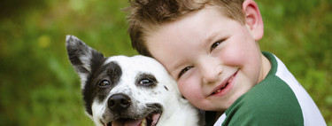 Los perros terapéuticos pueden ayudar a reducir el estrés y la ansiedad de los alumnos, así como mejorar la asistencia a clase