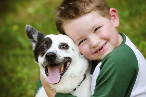 Los perros terapéuticos pueden ayudar a reducir el estrés y la ansiedad de los alumnos, así como mejorar la asistencia a clase