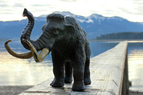 Una bebé mamut enterrada por miles de años en San Luis Potosí podría cambiar lo que sabíamos del Pleistoceno en México