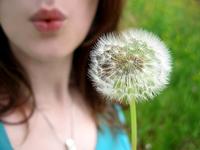 "Educando sueños", curso crítico sobre educación