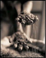 ¿Suplementos nutricionales con café para niños?