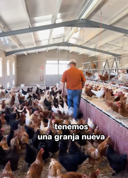 Captura De Pantalla 2025 11 10 A Las 16 43 23