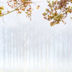 Foto 2 de 10 de la galería mundo-vegetal en Xataka Foto