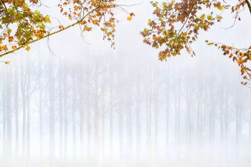 Foto de Mundo Vegetal (2/10)