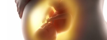 Las membranas fetales pueden repararse solas tras sufrir una lesión: un gran avance para evitar la rotura prematura de la bolsa