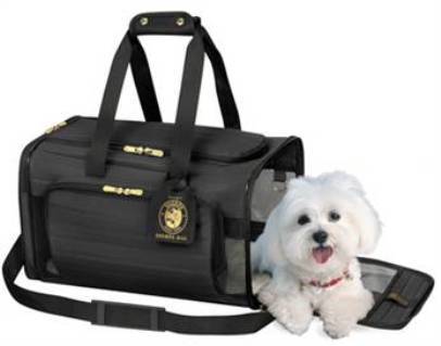 Accesorios de viaje para mascotas