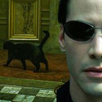 "Esto ya lo he vivido". Por qué tenemos un déjà vu: así explica la ciencia uno de los grandes misterios del cerebro 