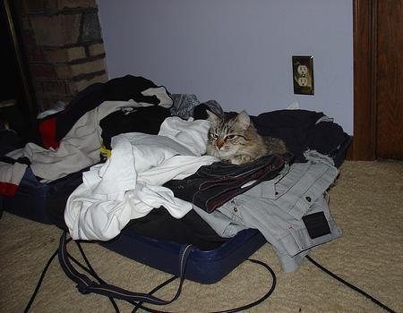 Truco para "planchar" la ropa cuando estás de viaje