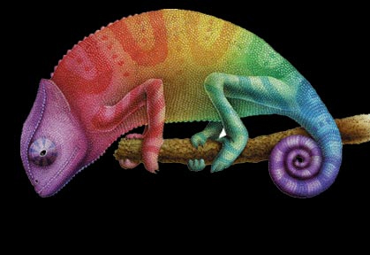 ¿Los camaleones cambian de color realmente?