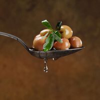 Durante siglos, las hojas de olivo se usaban para alimentar ganado. Ahora unos científicos granadinos quieren que revolucionen nuestra nutrición