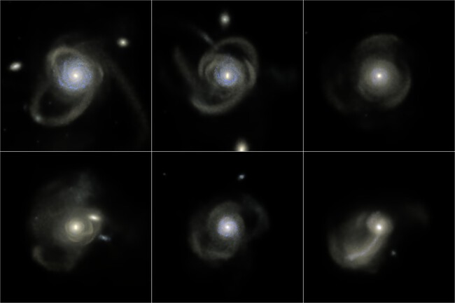 Halos Galacticos