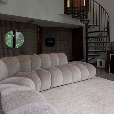 Ha llegado a Lidl la planta más resistente que aportará un aire fresco al salón o recibidor