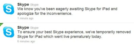 Skype lanza su aplicación oficial para iPad... y la retira poco después por haber aparecido "prematuramente"