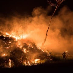 Foto 5 de 9 de la galería denuncia-ecologica en Xataka Foto