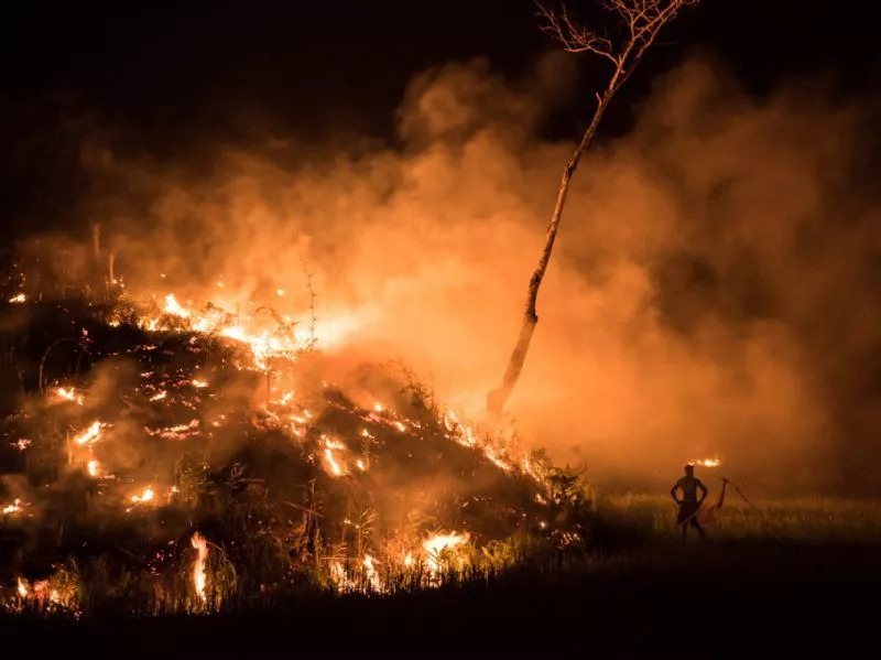 Foto de Denuncia ecológica (5/9)