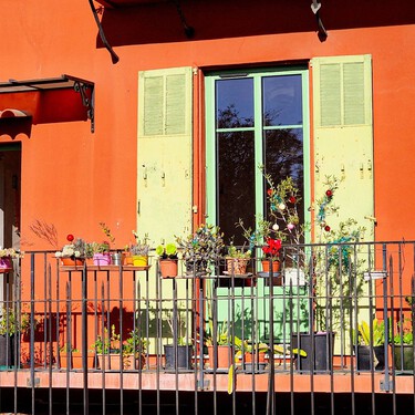 Aldi lanza el miércoles 9 de septiembre la suculenta que florece con el final del verano: ideal para llenar tu terraza de color por 2,50 
