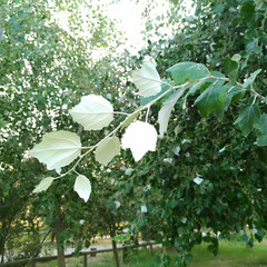 Foto 26 de 34 de la galería asus-zenfone-ar en Xataka