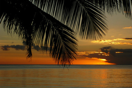 samana-atardecer