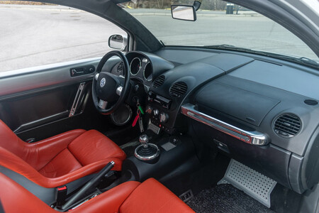 Beetle Rsi 4