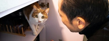 We have been trying to understand animals all our lives: Baidu believes it has the key and has registered it in a new patent