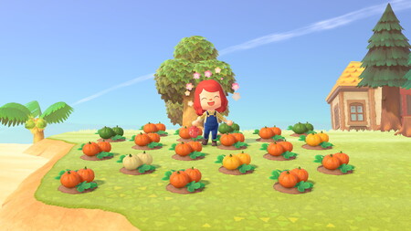 Cómo cultivar, plantar y cosechar calabazas en Animal Crossing: New Horizons