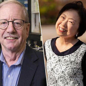 Steven N. Austad, experto en longevidad: "La primera persona que vivirá 150 años será mujer y japonesa"